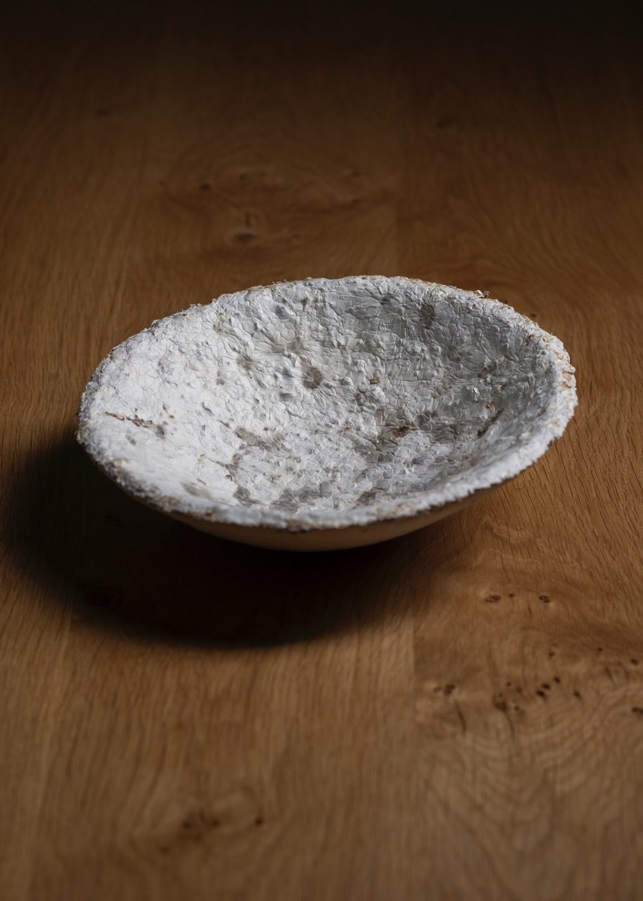 Coupe, sciure de hêtre