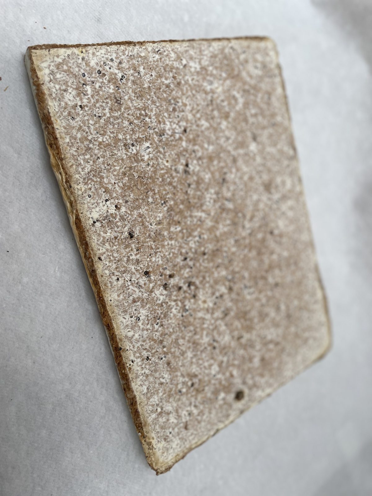 Planche, sciure de bois compessé à froid