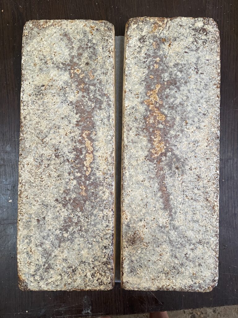 Fabrication sur mesure — objet en mycélium, Fungimaker