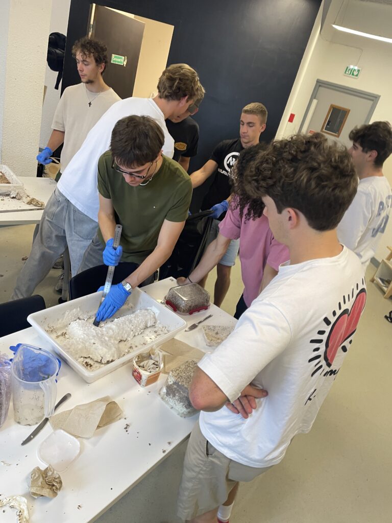 Workshop, découpe du mycélium en atelier