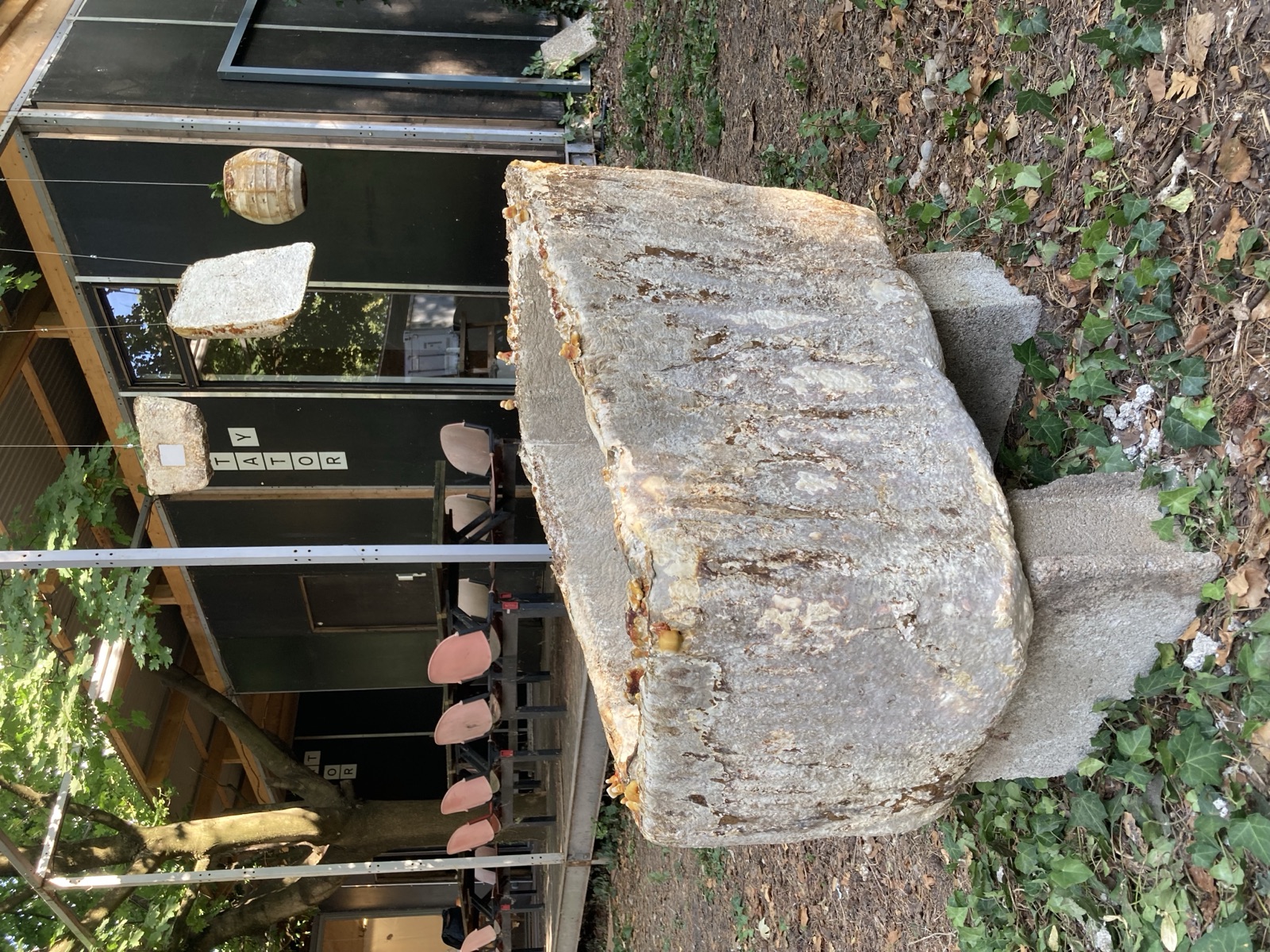 Réalisations — objet en mycélium, Fungimaker