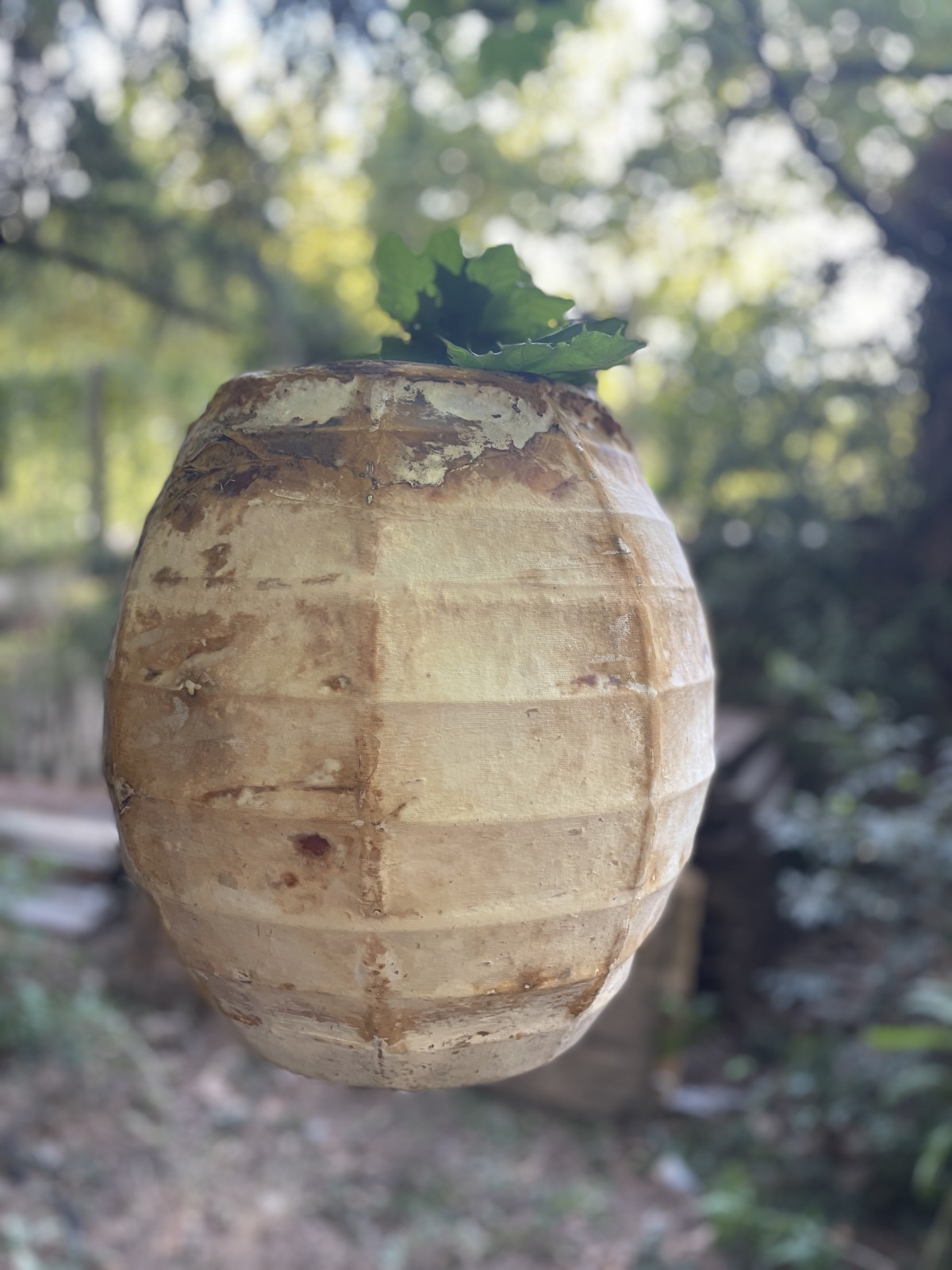 Réalisations — objet en mycélium, Fungimaker