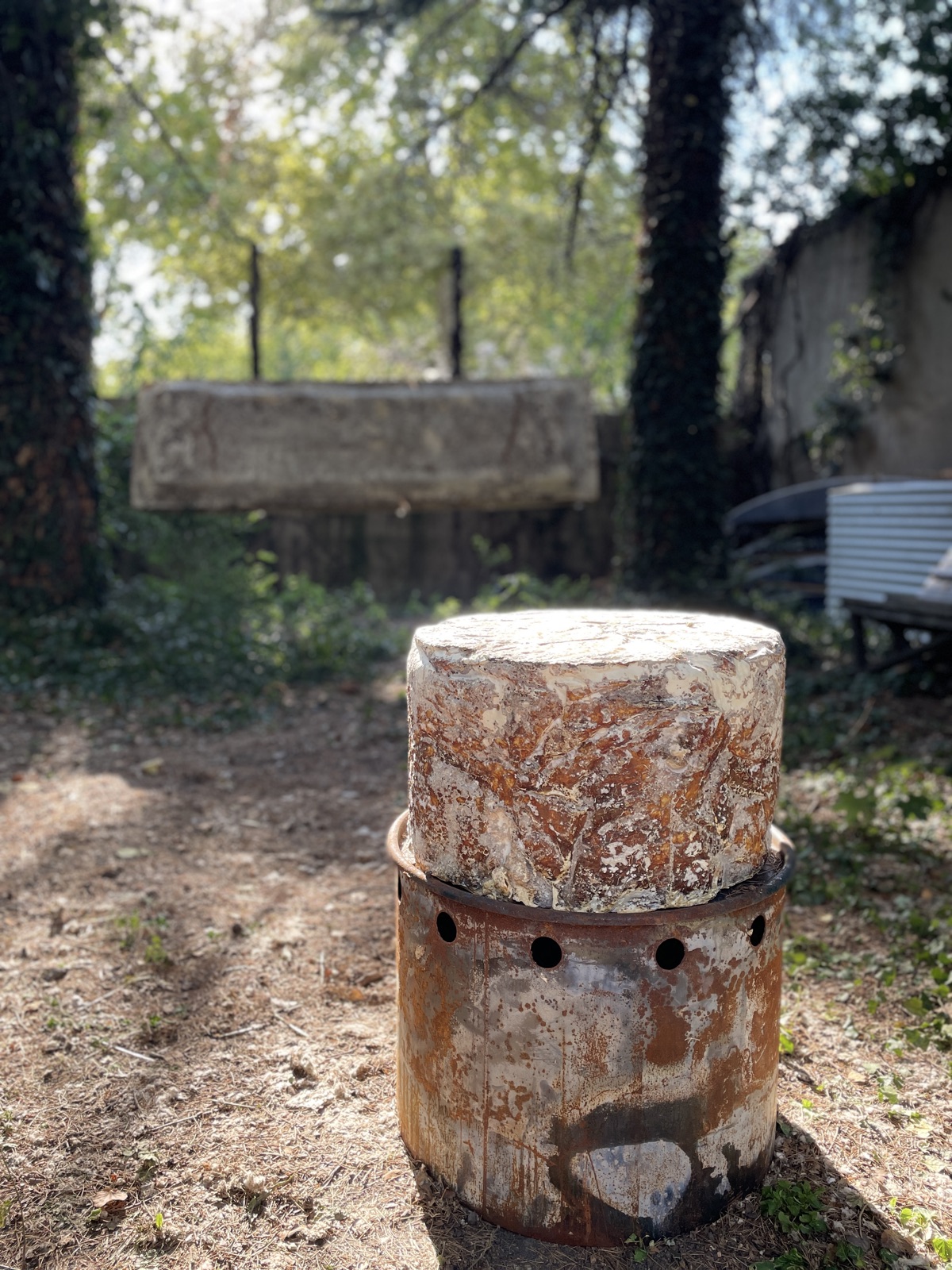 Réalisations — objet en mycélium, Fungimaker