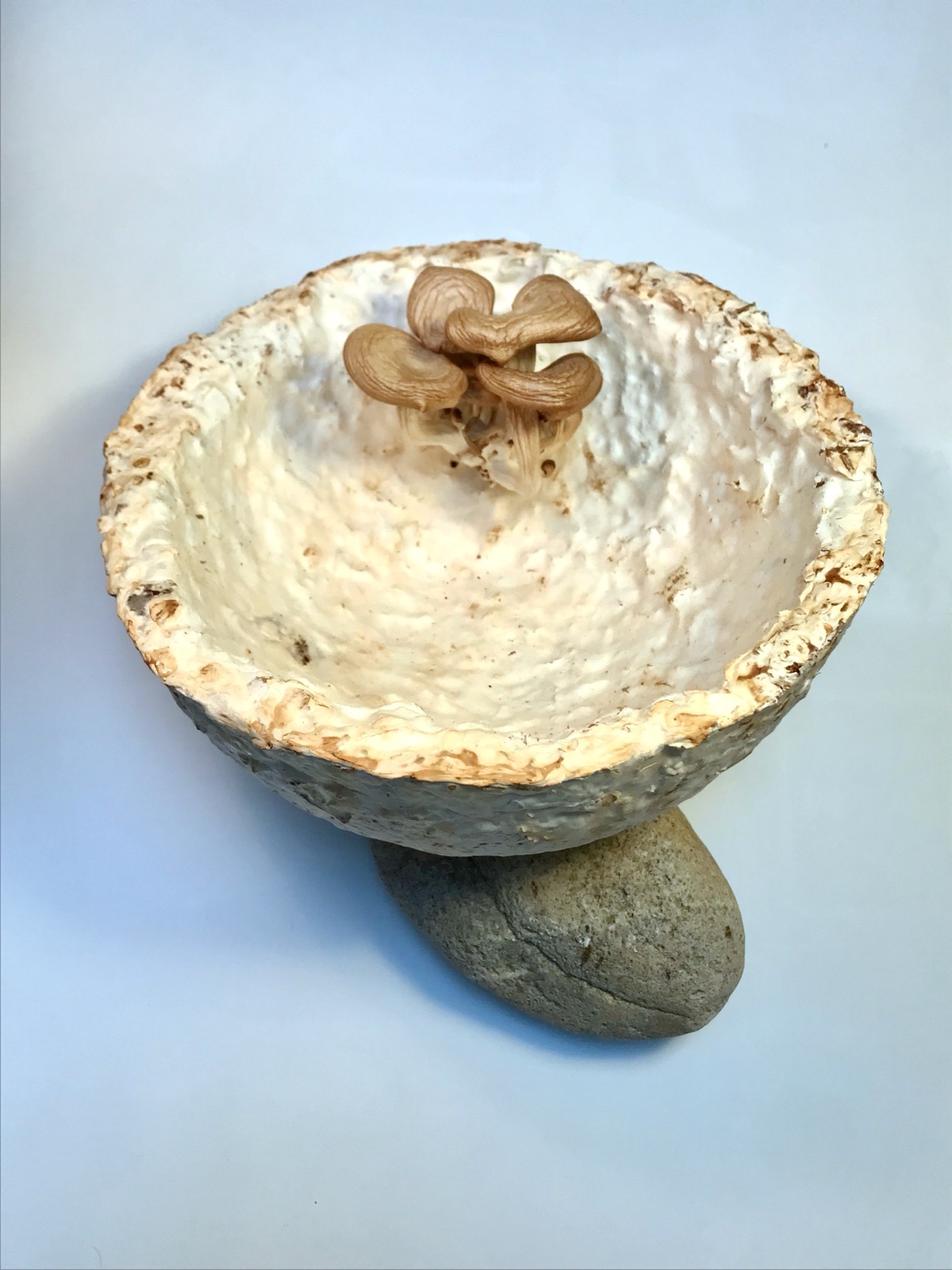 Réalisations — objet en mycélium, Fungimaker