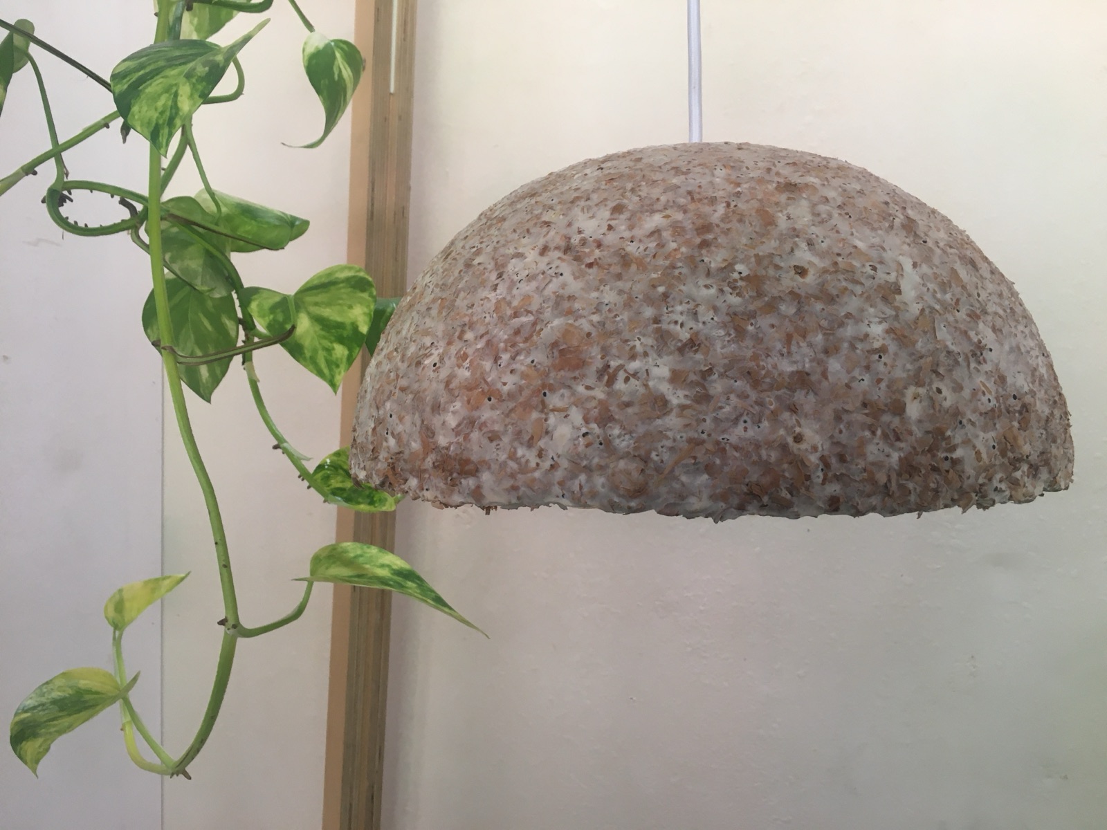 Réalisations — objet en mycélium, Fungimaker