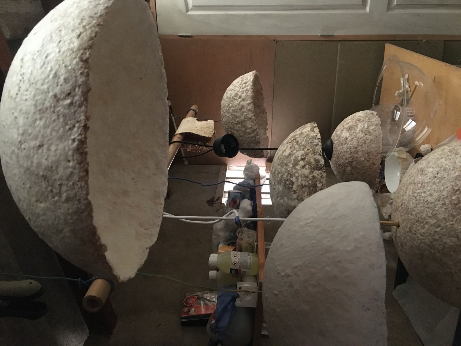 Réalisations — objet en mycélium, Fungimaker