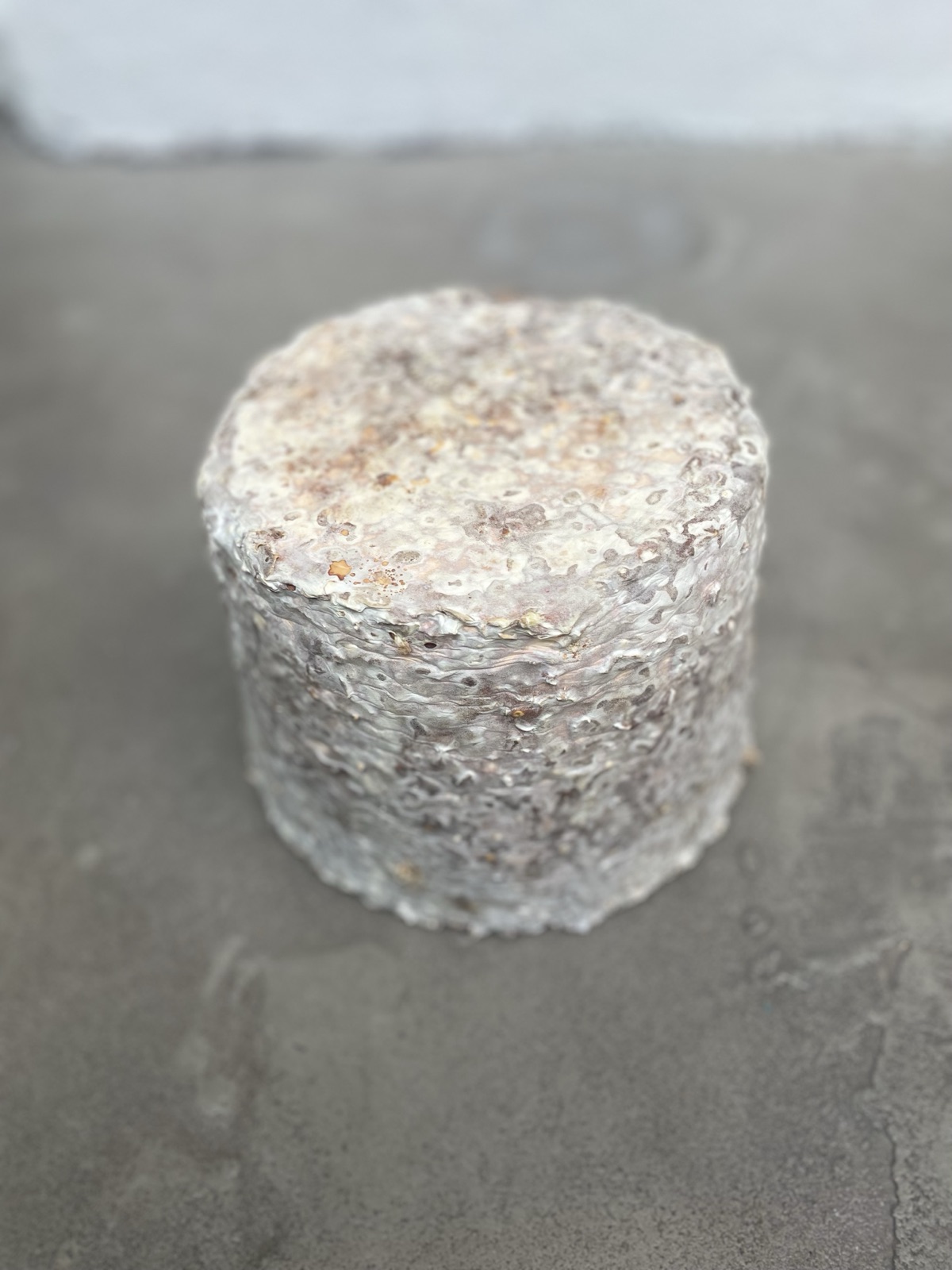 Réalisations — objet en mycélium, Fungimaker