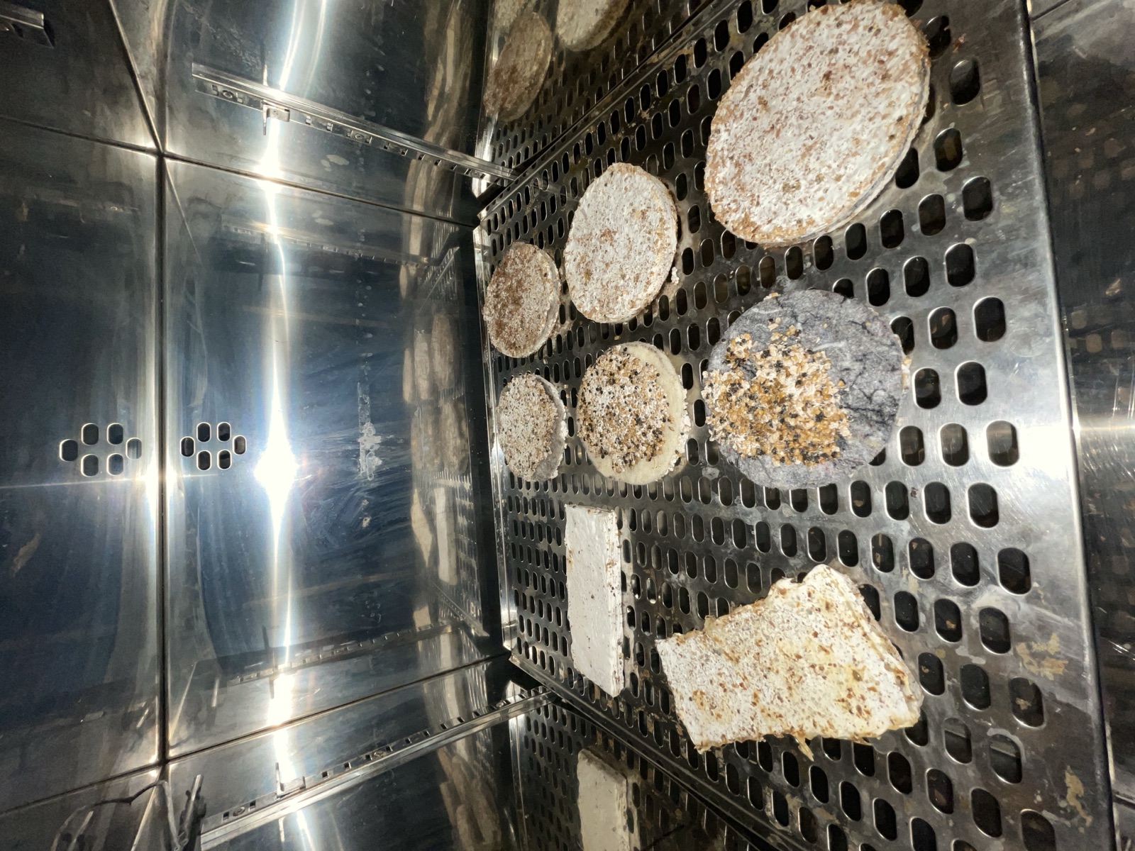 Réalisations — objet en mycélium, Fungimaker