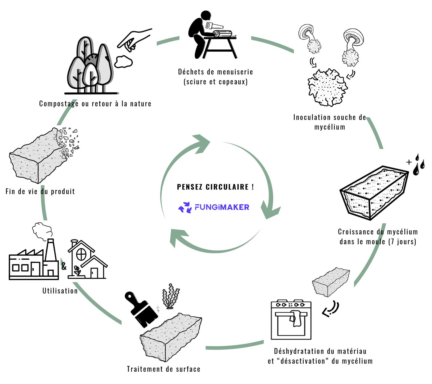 Cycle du mycomatériau : déchets de menuiserie, inoculation, croissance dans le moule, déshydratation, traitement de surface, utilisation, fin de vie, compostage